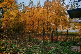 Продам дом п. Октябрьский