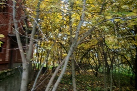 Продам дом п. Октябрьский