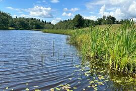 деревня Малое Ушаково, 