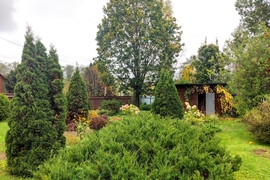 Продаем земельный участок Холмы