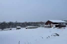 Участок 8,4сот.  Истра, д.Кашино