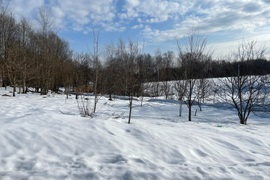 Уч.12 сот. д.Алехново/Водохранилище 