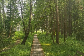 Участок 15 соток у Большой воды