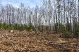 (#514305-ВО) Участок 15 соток в  дере...