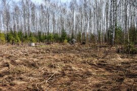 (#514305-ВО) Участок 15 соток в  деревне Карасино!