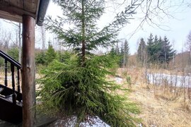 Продам участок в лесу с баней