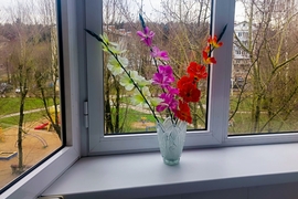 2-кв п. Глебовский ул. Микрорайон д.10