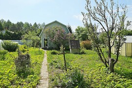 Свой уголок природы!
