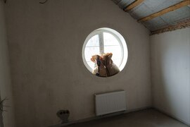 Продается дом 250 м² с собственным вы...