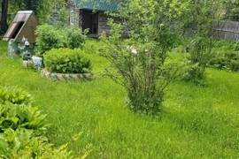 деревня Деньково, 