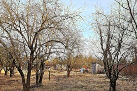 д. Вельяминово - 23 сотки (ИЖС)