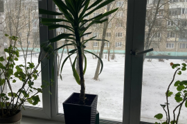 1-я Квартира 30 кв.м. в Глебовском мк...