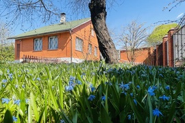 Дом п.Рождествено. Снегири