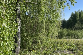 Участок  у воды в Истре.