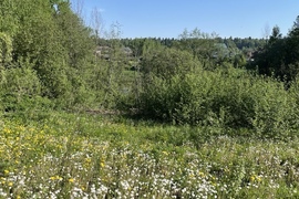 Участок  у воды в Истре.