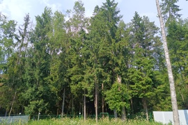 Продается дом 250 м² с собственным вы...