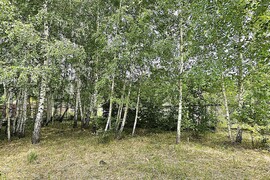18 соток ИЖС д. Сокольники(Истра)
