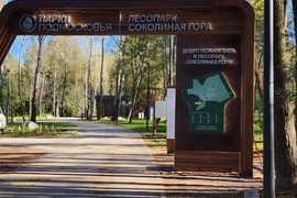 Истра, Рабочая улица, 1а