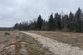 Прилесной участок в КП Подсолнух парк...