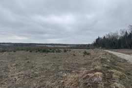Прилесной участок в КП Подсолнух парк...