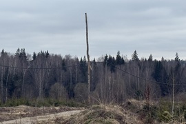 Прилесной участок в КП Подсолнух парк...